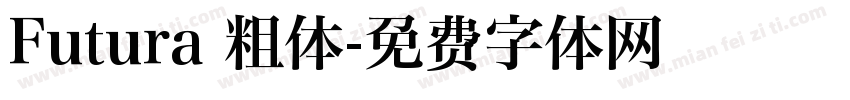 Futura 粗体字体转换